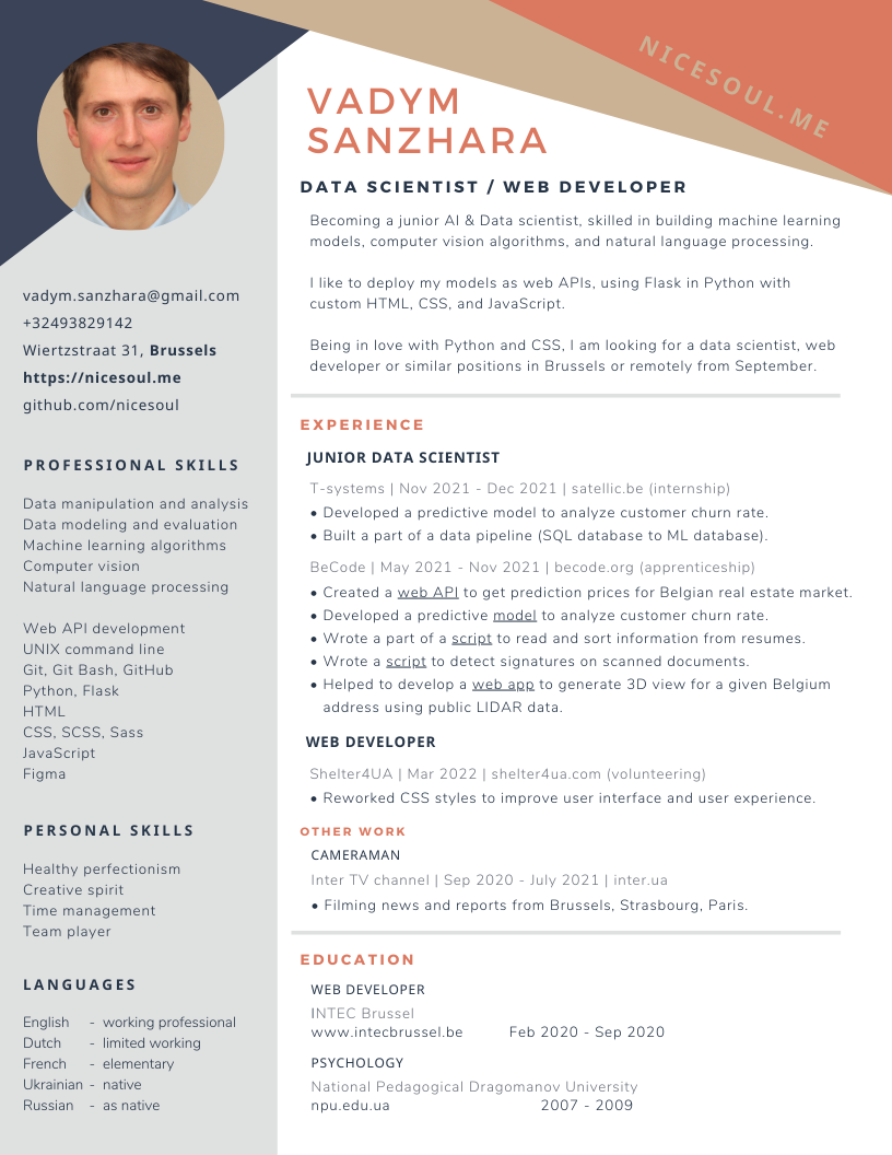 curriculum vitae